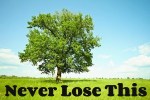 never-lose-300x200