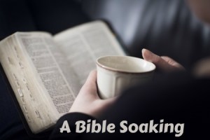 BibleMug2